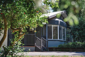Montrose Manor of Healing